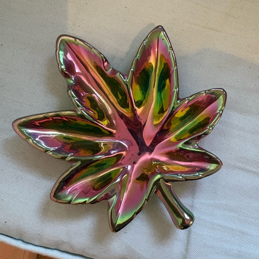 Spencer's Multicolor Leaf Ceramic Dish